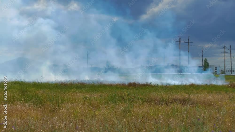 Field Burning With Smoke Field Burning With Smoke