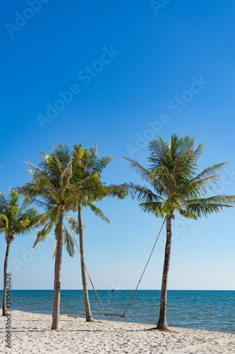 Fototapeta Naklejka Na Ścianę i Meble -  The Palm tree rope swing at Phu Quoc beach Vietnam. Scenic view tropical beach palms