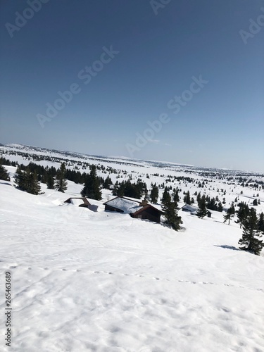 Snowy landscape in Norway