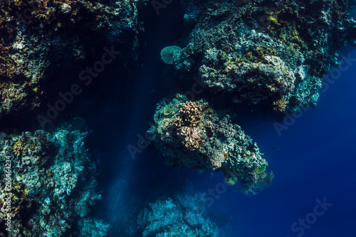 Underwater view with rocks and corals in blue ocean. Menjangan island, Bali