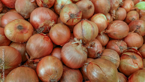 Fresh onions. Onions background. Ripe onions. Onions in market.