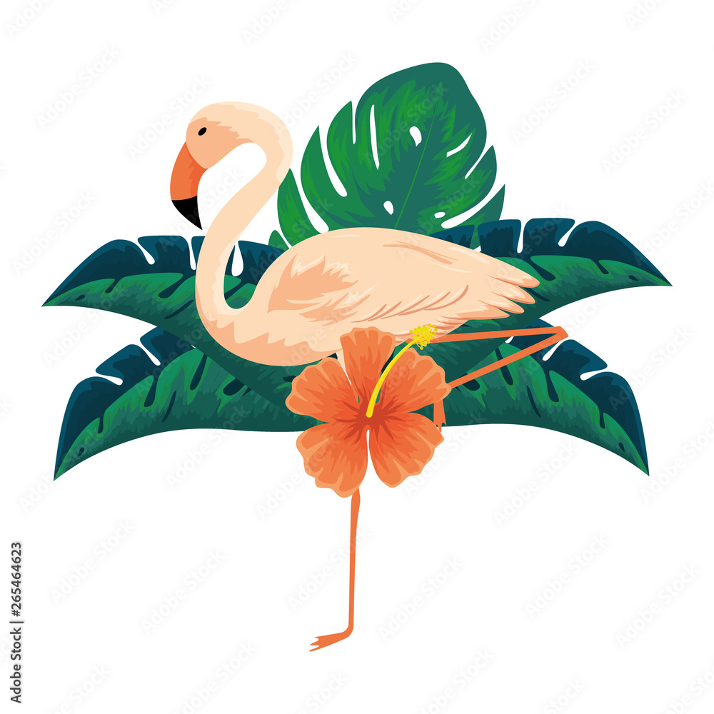 Fototapeta exotic flemish bird with flowers and leafs