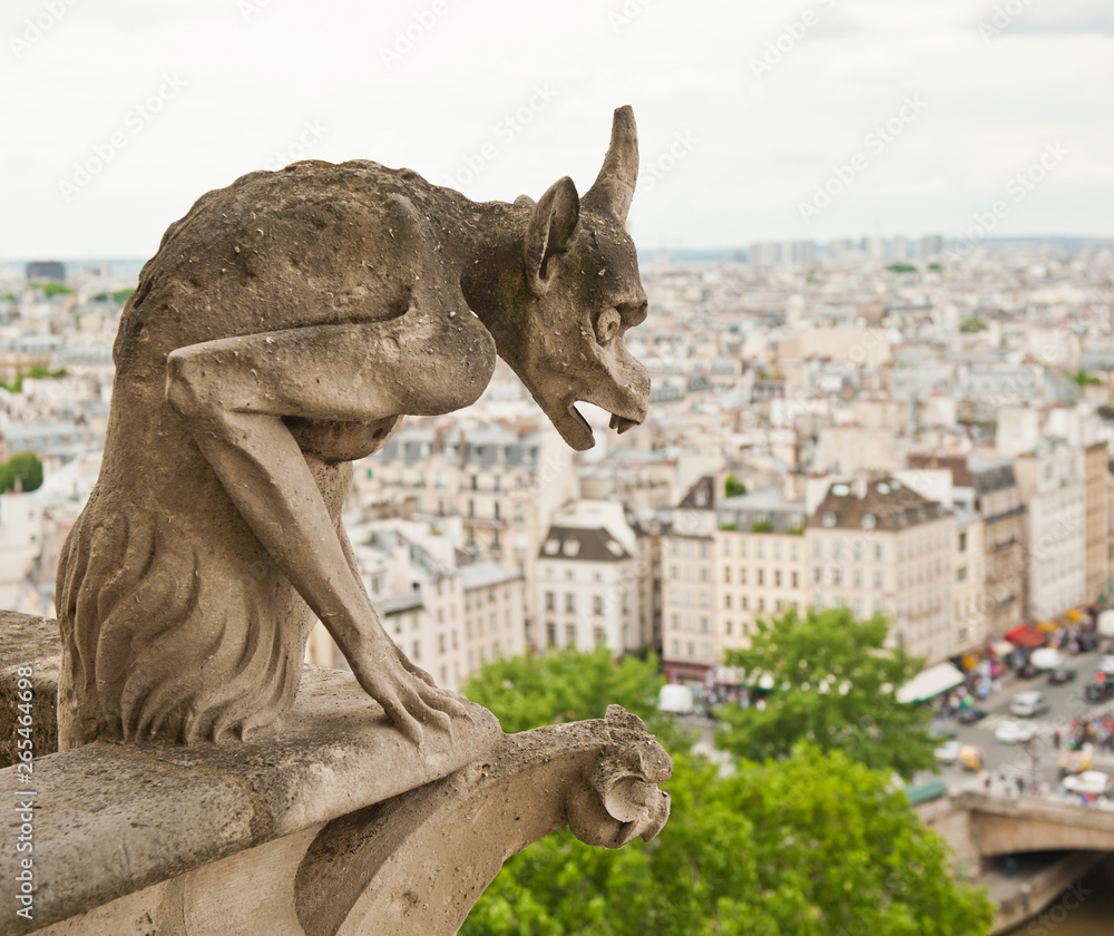 Chimera of Notre-Dame Cathedral and view of Paris from above. France