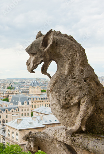 Chimera of Notre-Dame Cathedral and view of Paris. Summer cloudy day