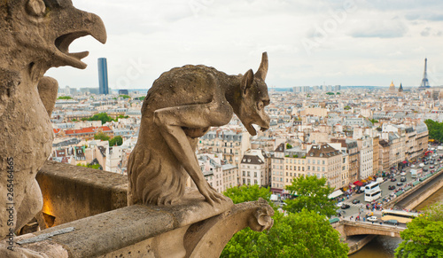 Chimeras of Notre-Dame Cathedral and view of Paris. France