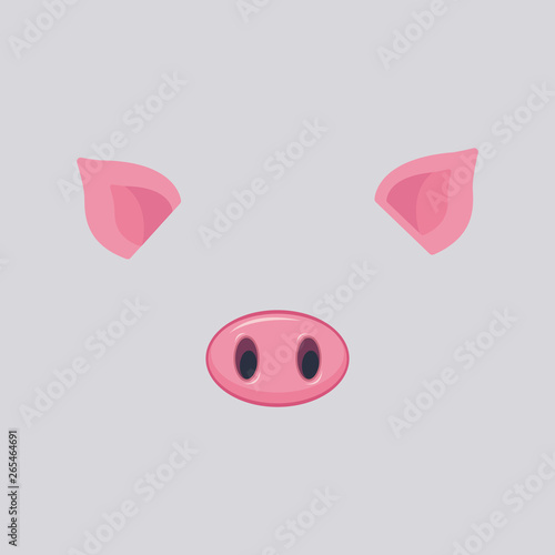 Pink nose and ears of pig isolated on grey background.