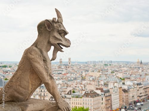 Chimera of Notre-Dame Cathedral and view of Paris. France