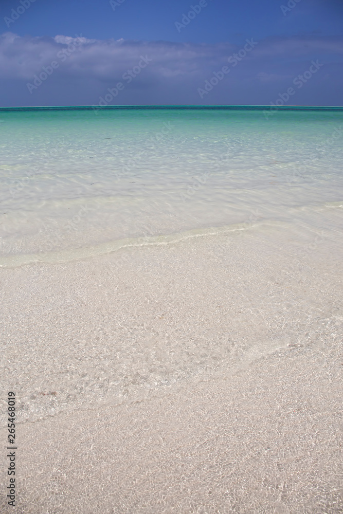 Obraz premium Amazing Beach with White Sand Zanzibar,Tanzania