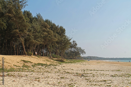 beach sea view goa