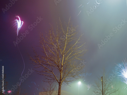 fireworks in the night sky