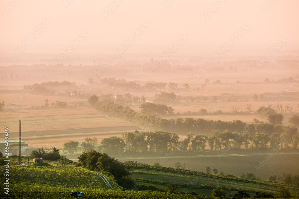 Naklejka premium Foggy road in Moravia
