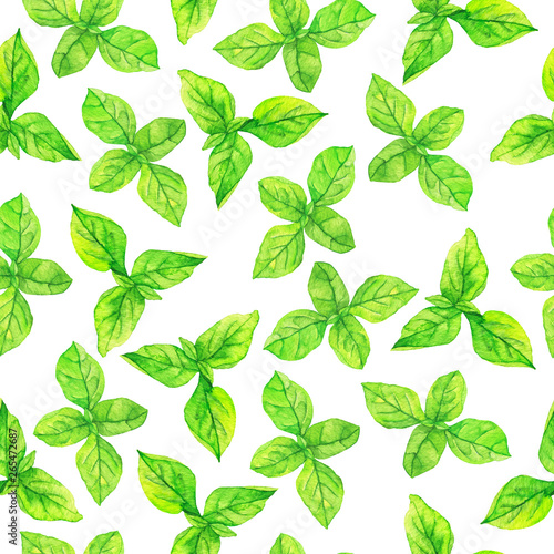 Seamless pattern with fresh basil leaves on white background. Hand drawn watercolor illustration.