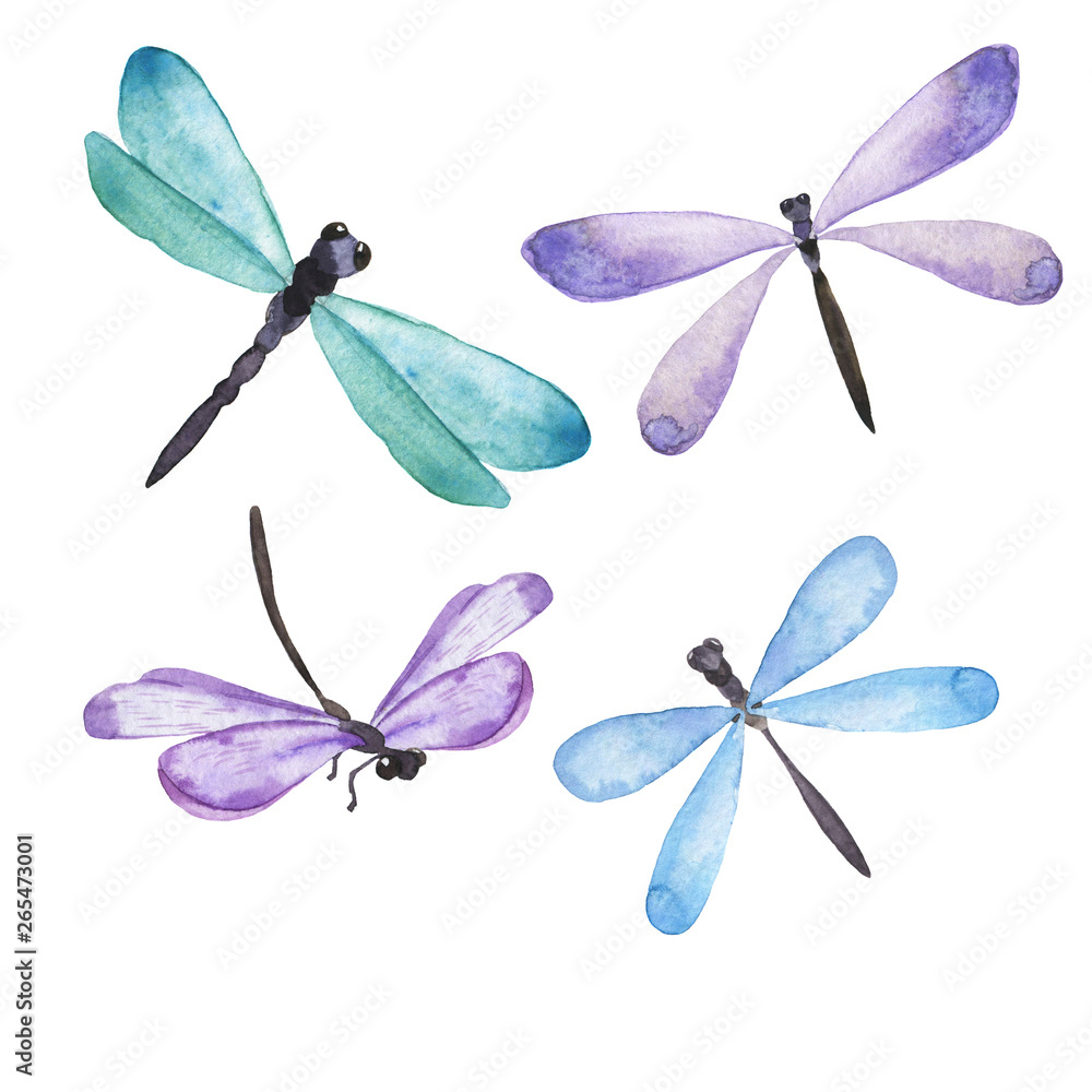 Blue and lilac dragonfly collection. Hand drawn watercolor illustration. - obrazy, fototapety, plakaty 