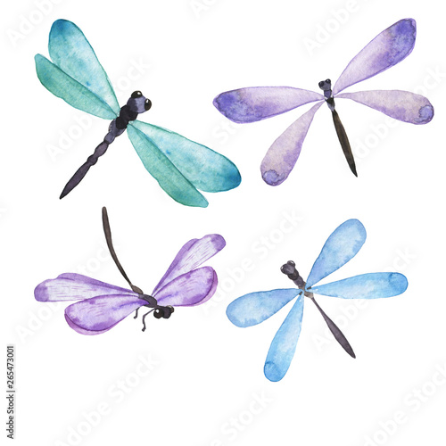 Blue and lilac dragonfly collection. Hand drawn watercolor illustration.