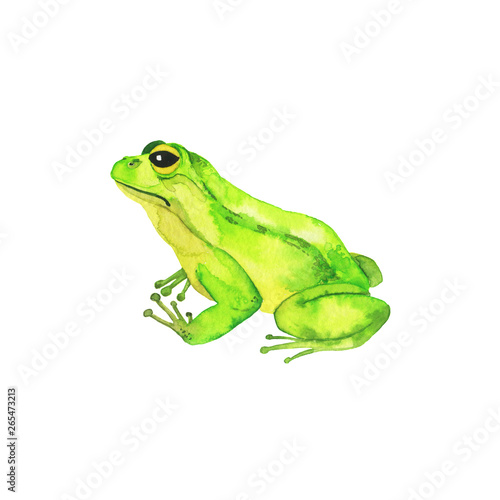 Green wild sad frog collection isolated on white background. Hand drawn watercolor illustration. 