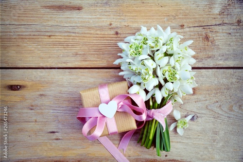 Frühlingsblumen mit Geschen...