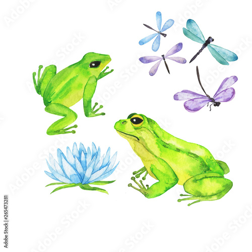 Set of green wild frogs, blue and lilac dragonfly and blue flower collection isolated on white background. Hand drawn watercolor illustration. 