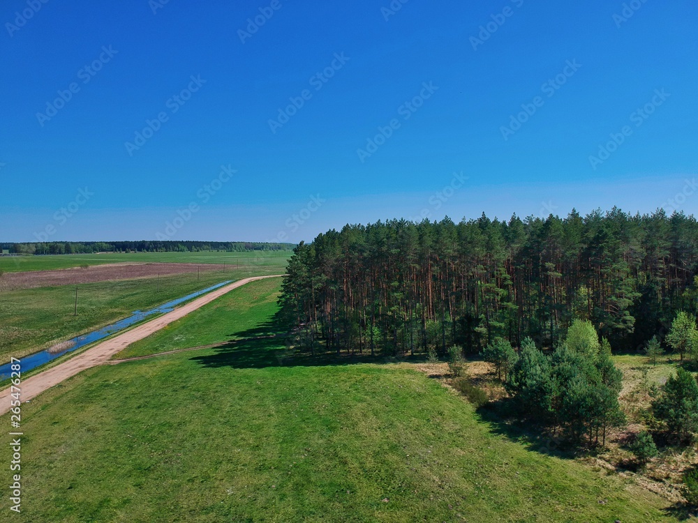 Drone photo of a forest in Minsk Region of Belarus