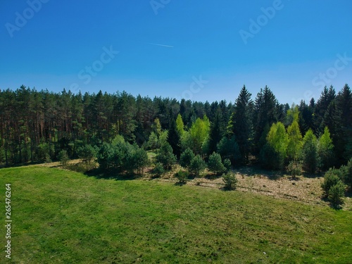 Drone photo of a forest in Minsk Region of Belarus © Egor Kunovsky