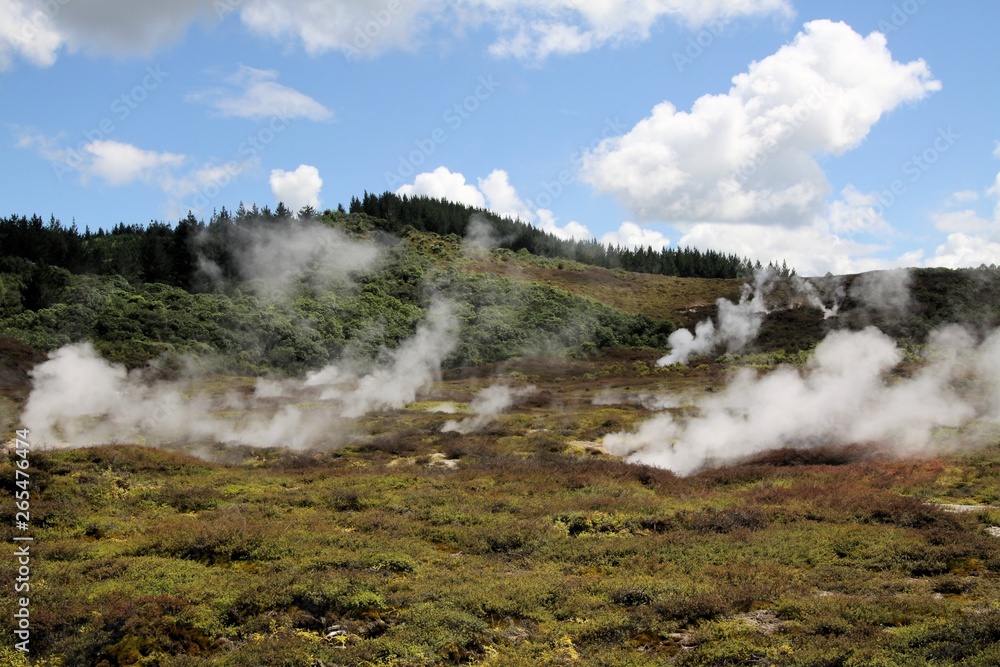 Orakei Korako hidden geothermal valley: View on steaming hills (Fumaroles)