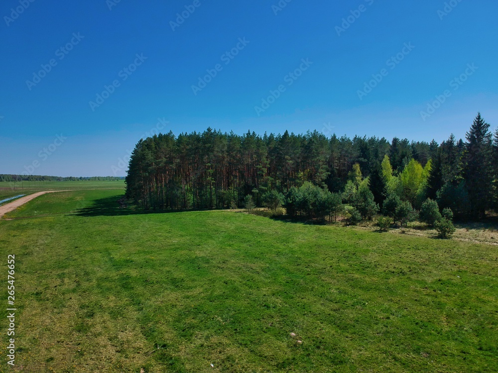 Drone photo of a forest in Minsk Region of Belarus