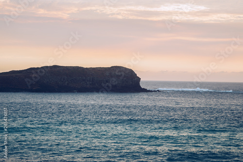 Cook Island Fingal