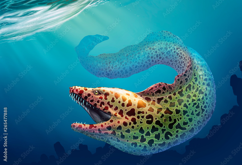 Moray eel Large moray eel with open mouth and thick row of sharp teeth