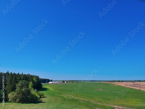 landscape with blue sky and white clouds in Belarus