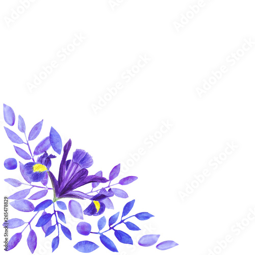 Watercolor bouquet of irises, hand drawn floral illustration, blue flowers and leaves on white background