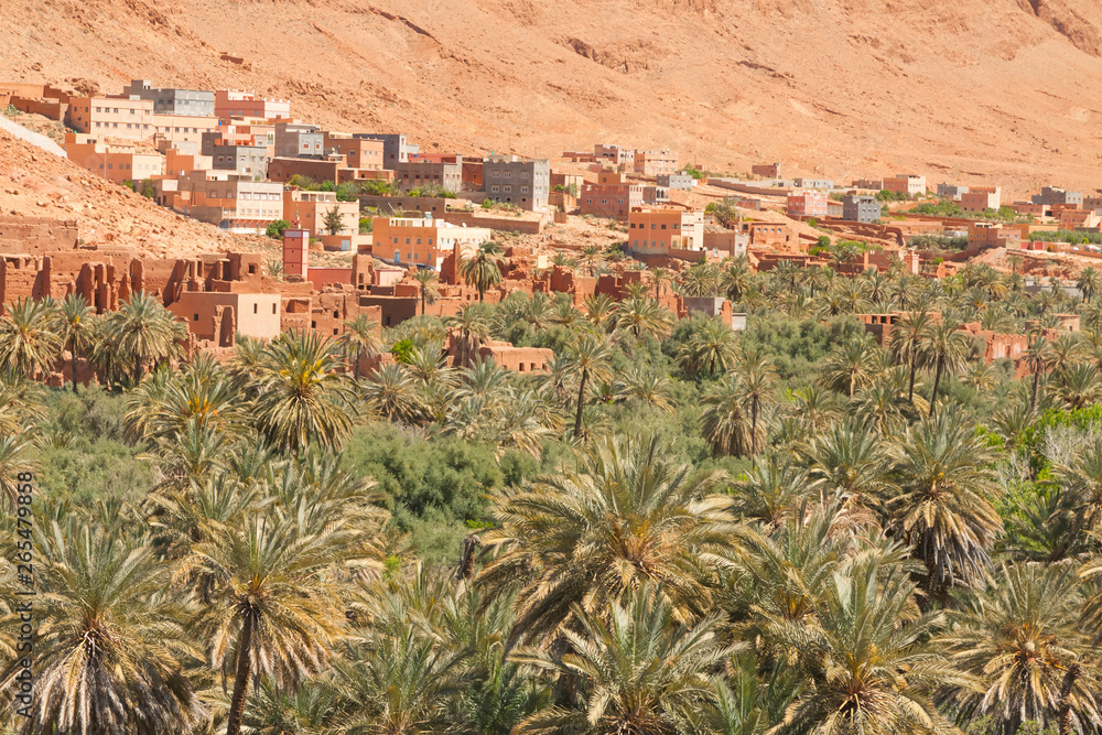 Morocco, Ait Ijjou by Tinghir, Oasis, Date Palm Orchard, Mountains