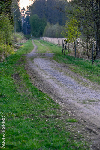 straight old gravel road throough field with fence photo
