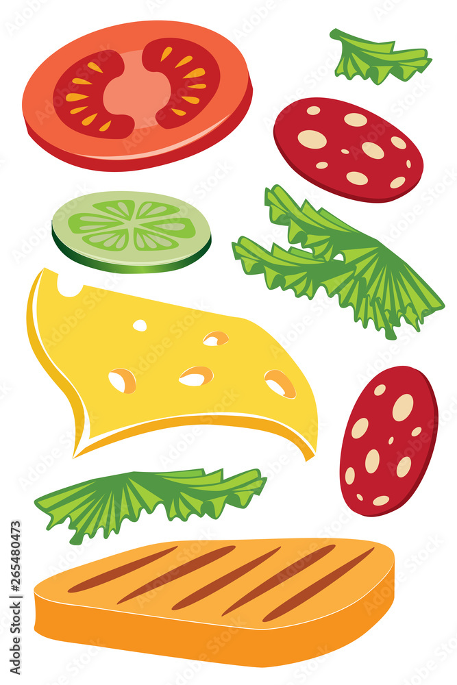 Sandwich main ingredients with meat, cheese, vegetables, vector illustration. Sandwich main ingredients with meat, cheese, vegetables, vector illustration.