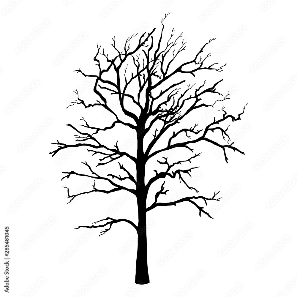 Vector Black Silhouette of Single Bare Tree