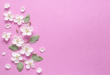 Spring white flowers and light green leaves on textural pink paper. Spring background for design and decoration.