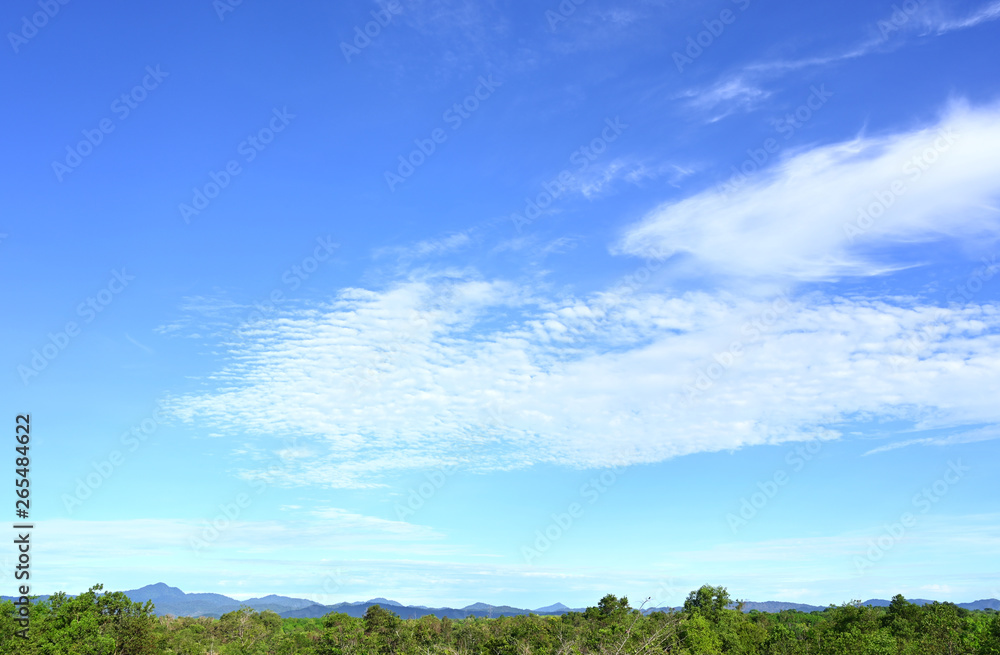 White Cloud and Blue Sky on Mountain and Green forest morning White Cloud and Blue Sky on Mountain and Green forest morning