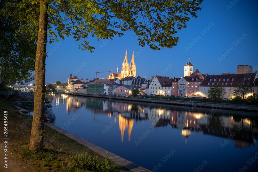 Fototapeta premium Regensburger Dom an der Donau in der blauen Stunde