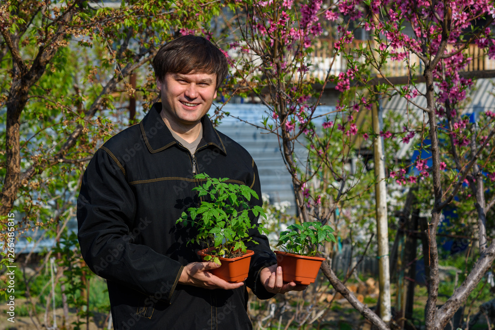 A man will keep containers with seedlings of pepper and tomatoes at their summer cottage A man will keep containers with seedlings of pepper and tomatoes at their summer cottage