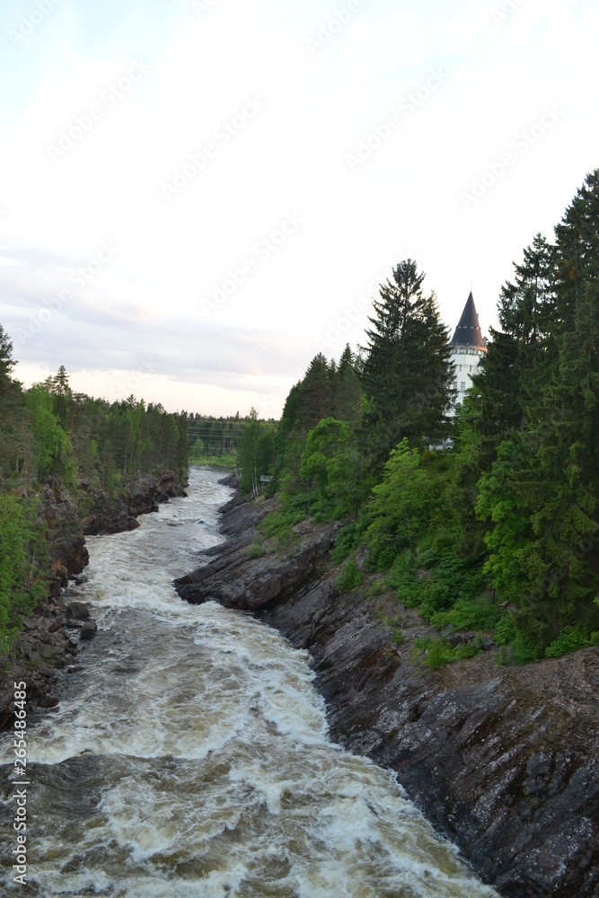 Obraz premium river in the forest