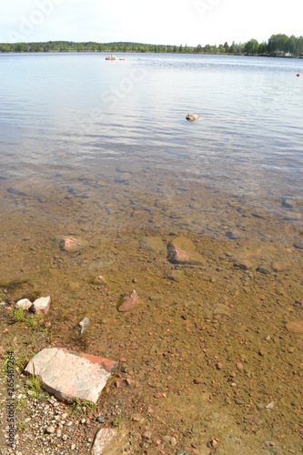 stones in water