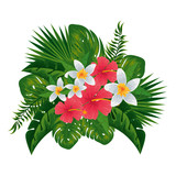 exotic tropical flowers and leafs decoration