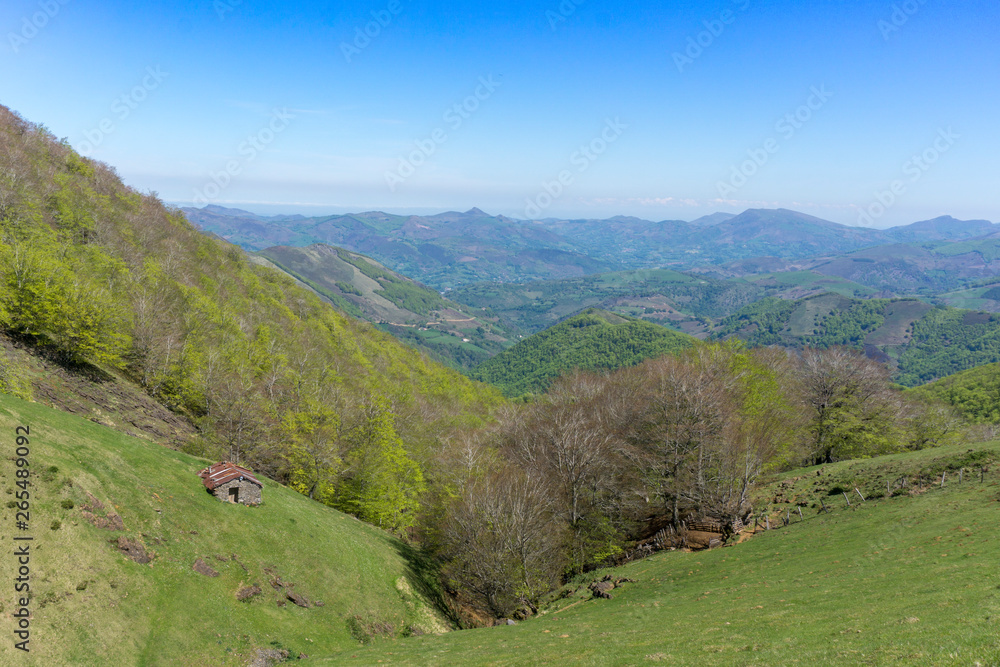 View of Baztan valley in Navarra. Spain