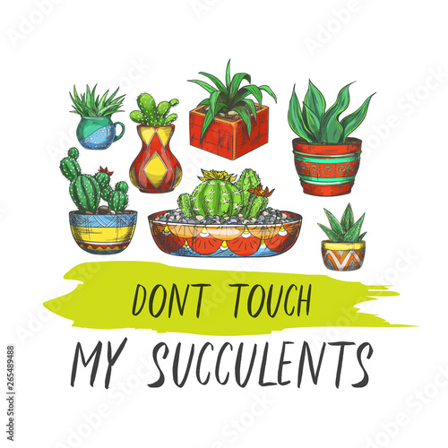 Sign with cactus or banner with succulent plants