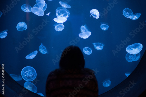 Kobieta wpatrzona w meduzy 