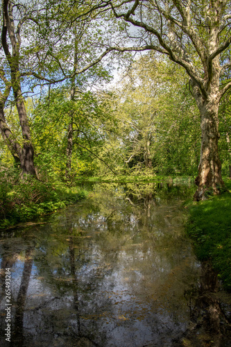 View of green natural forests with river in Leipzig Grosszschocher-Knautkleeberg district