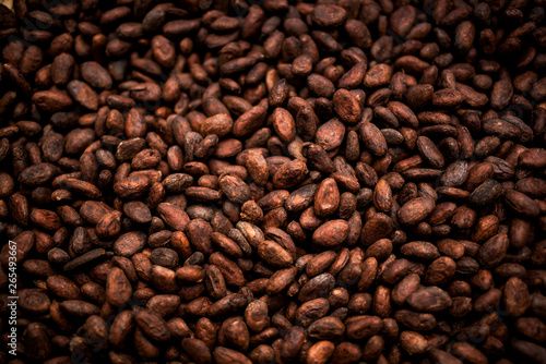 Cocoa beans and cocoa fruit on the cocoa concept with raw materials Aromatic cocoa beans as background photo