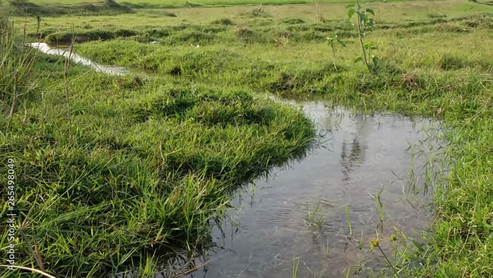 Water Flowing on Rural Field Water Flowing on Rural Field