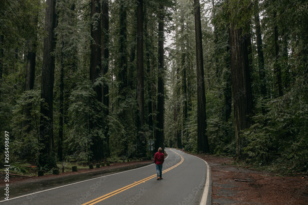 man in red flannel walking on road in forest man in red flannel walking on road in forest