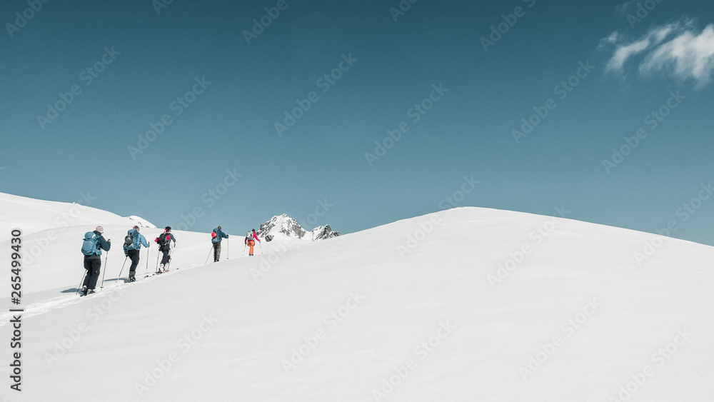 Touring Ski Group in the Mountains