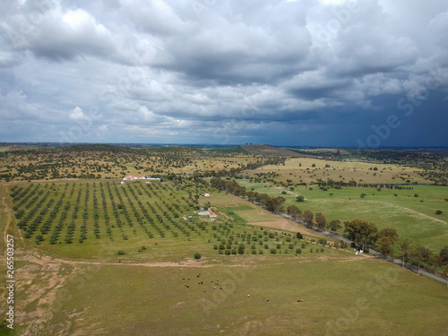 Aerial view of a farm field with storm clouds in background. Alentejo Portugal