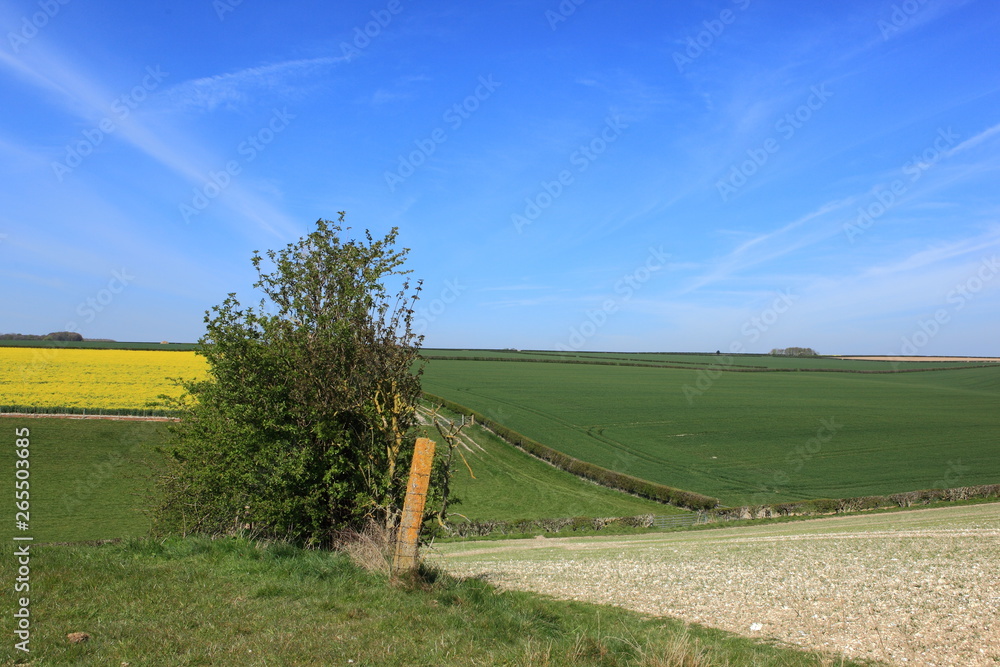 Fototapeta premium Springtime view over the scenic patchwork landscape of the Yorkshire wolds